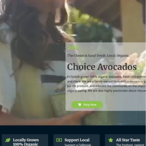 Thumbnail of Choice Avocados website.